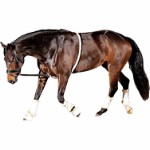 HG Soft Lunging Aid