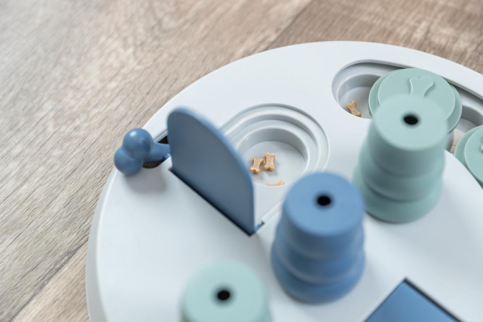 Dog Activity Flip Board