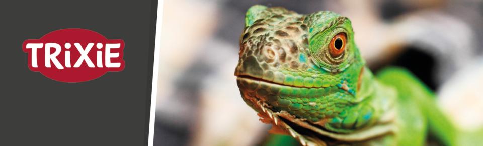 Magnet skilt t. Tego reol Reptiland