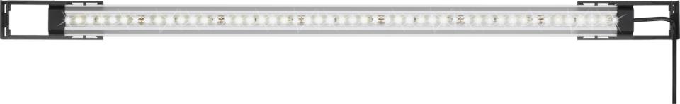 Classic LED, daglys