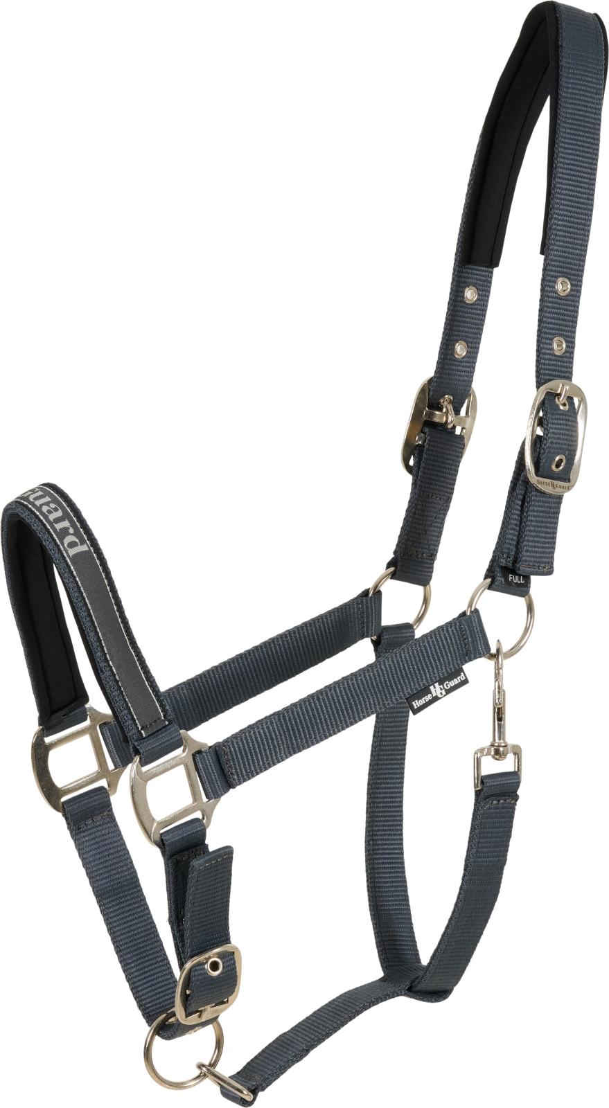 Horse Guard Sandra halfter