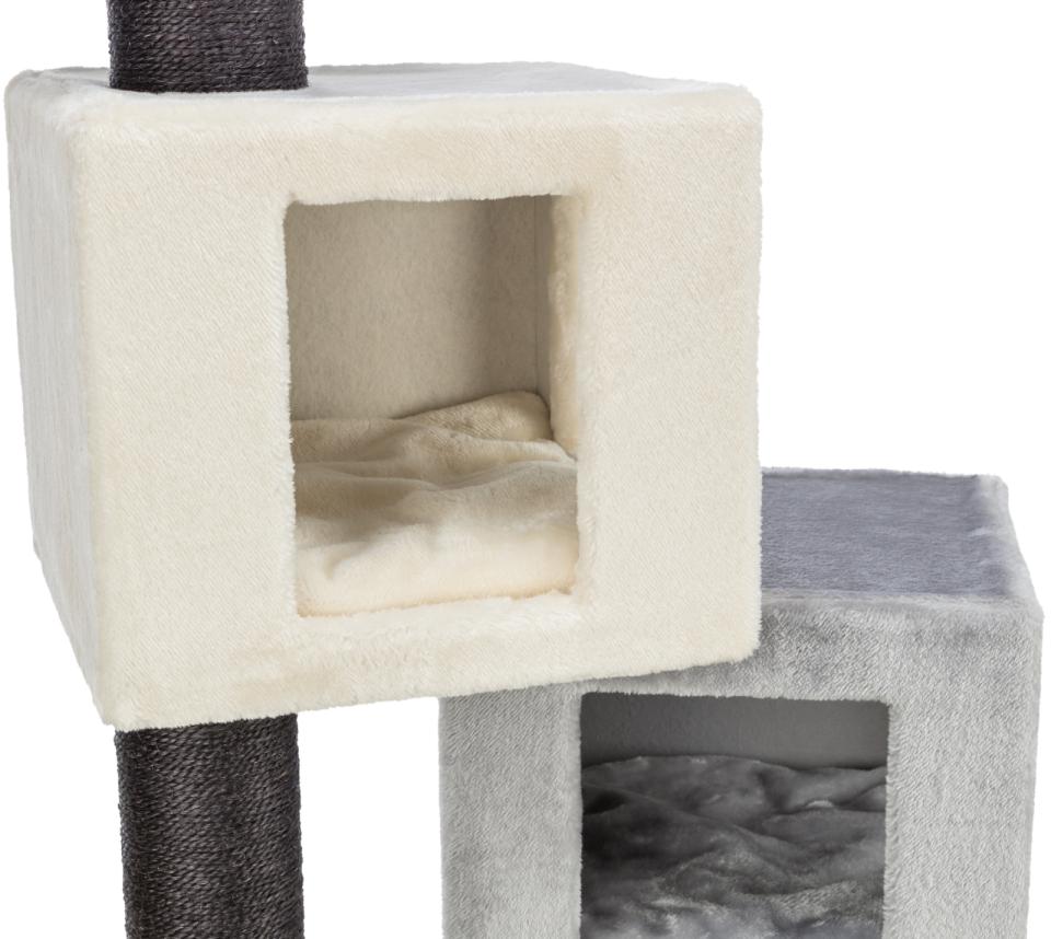 Trixie Enzo scratching tree