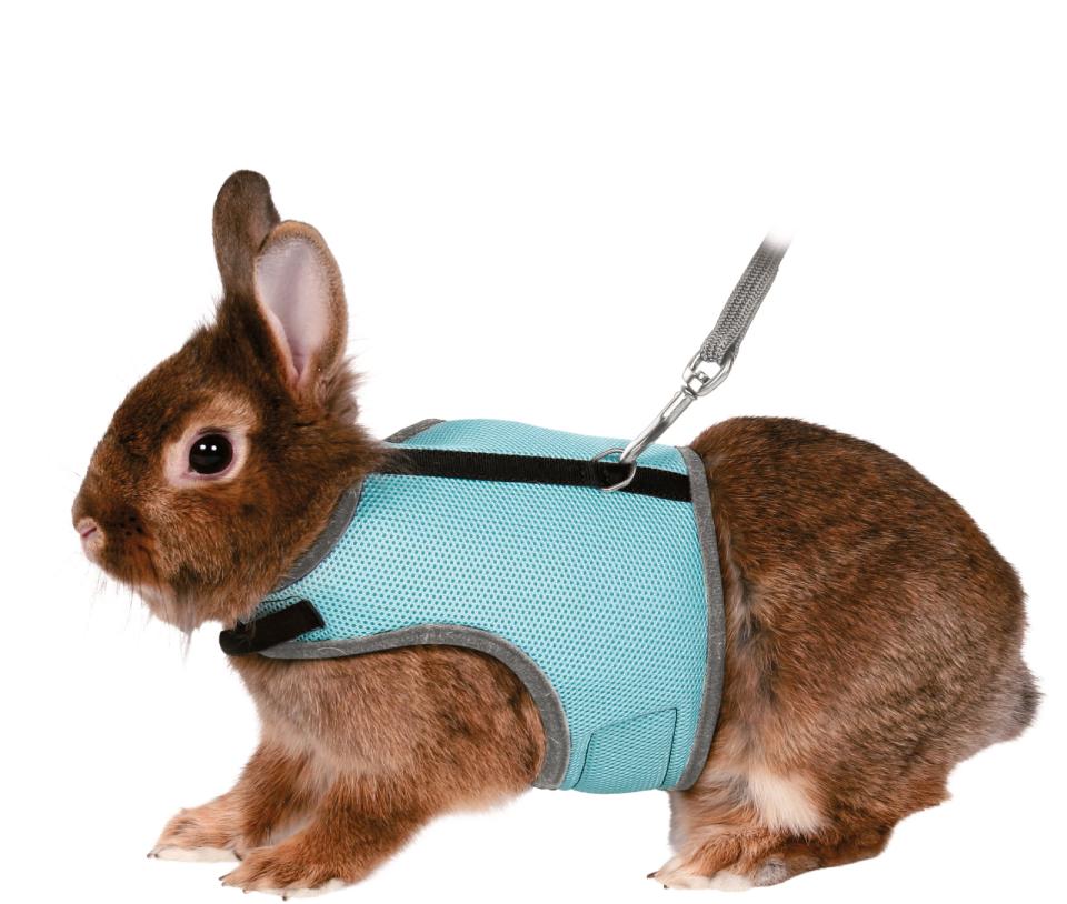 Soft Harness with Leash