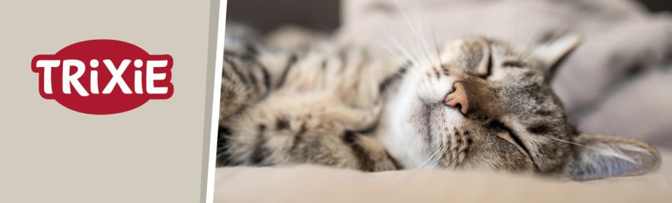 Magnet skilt t. Tego reol kat