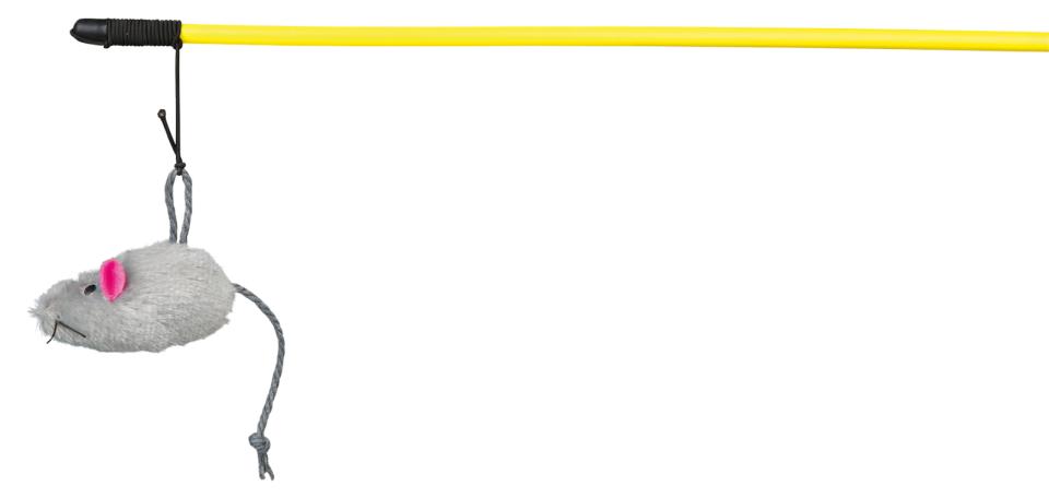 Playing Rod with Mouse