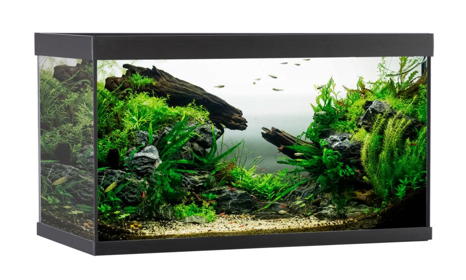 AkvaStabil ELEMENT Aquarium