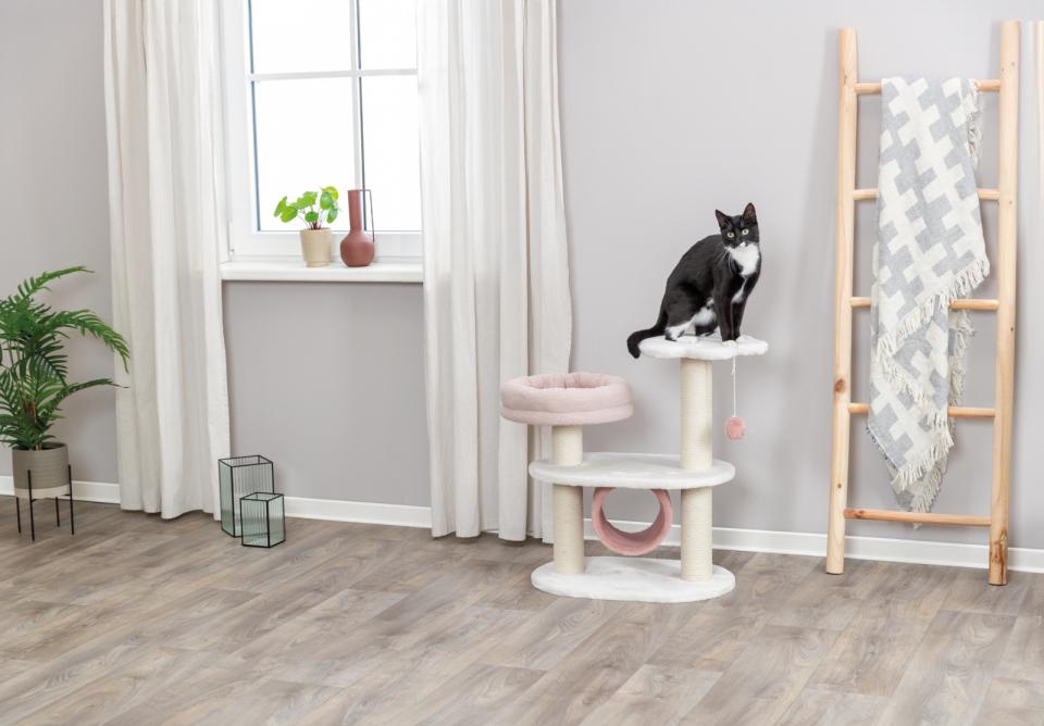 Trixie Isabella scratching tree