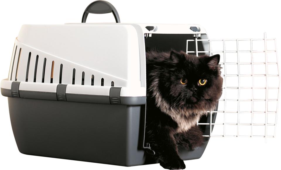 Savic Trotter 1 pet carrier