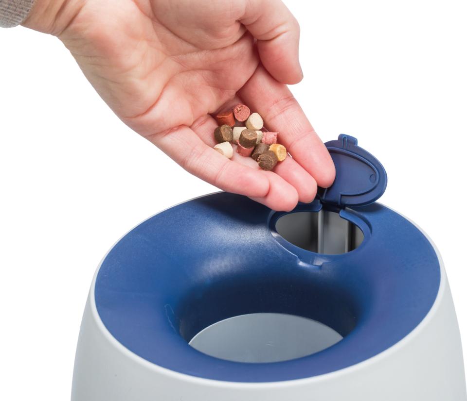 Dog Activity Ball & Treat strategy game