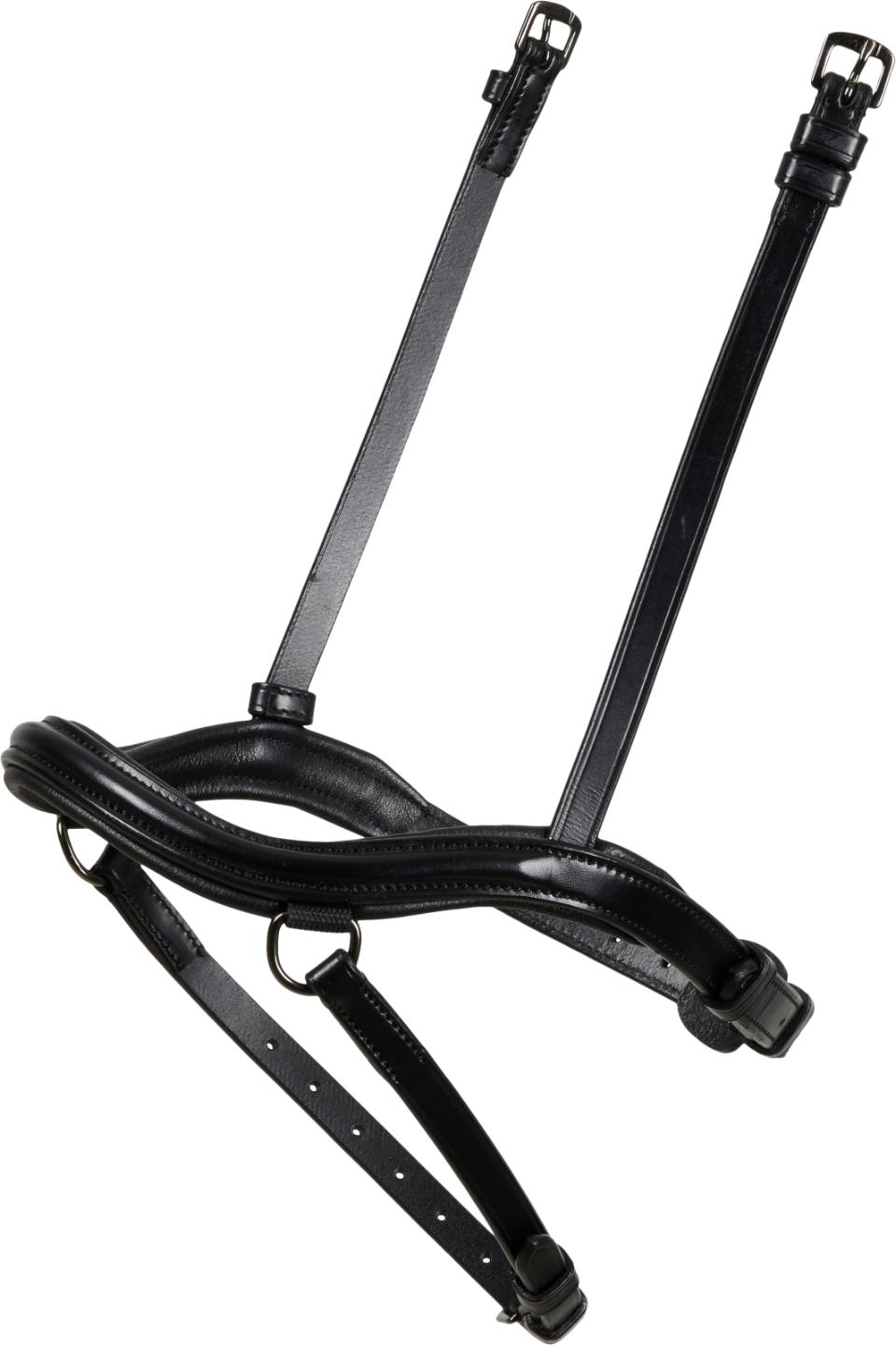 Catago Icelandic anatomiskt nosgrimma