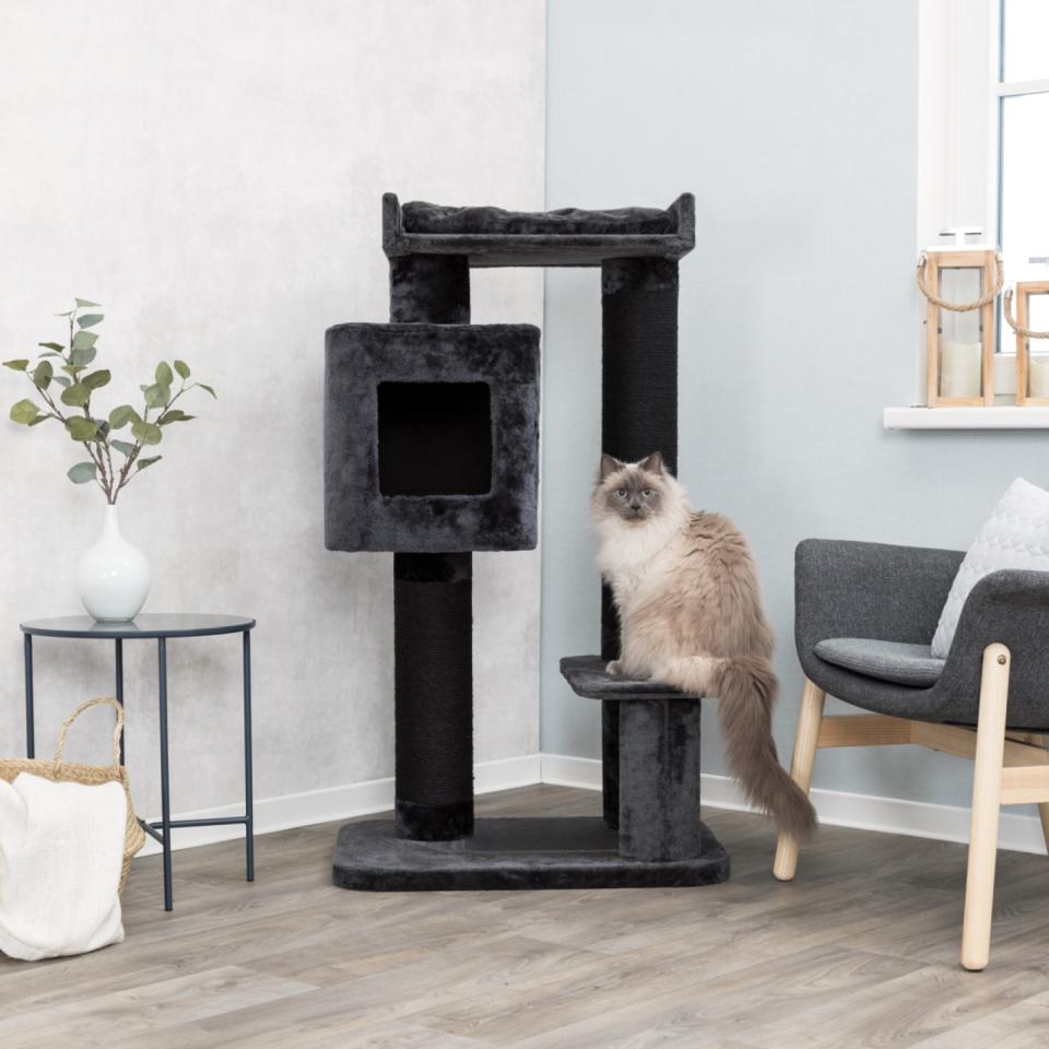 Izan Scratching Post XXL