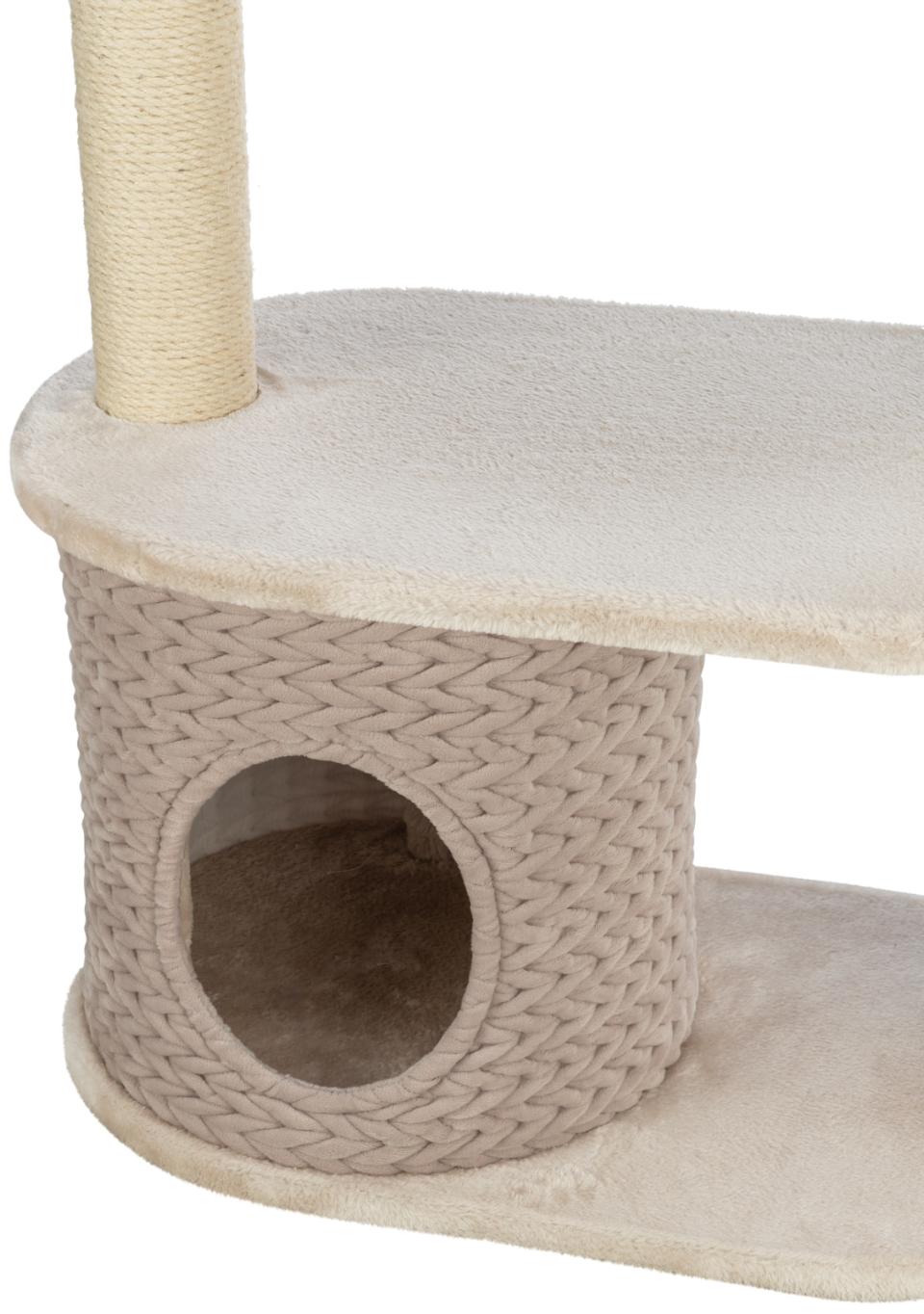 Trixie Alessia scratching tree