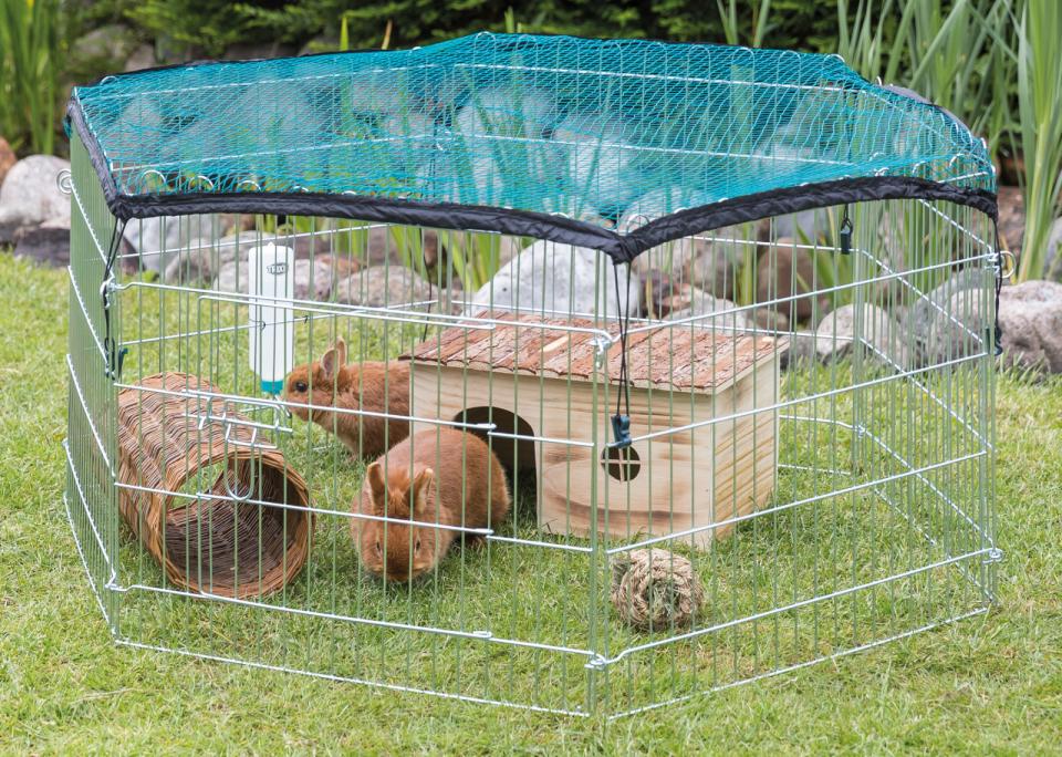 Freilaufgehege mit Schutznetz