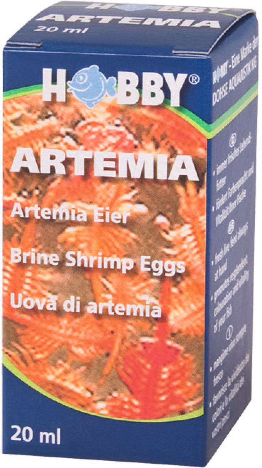 Artemia æg