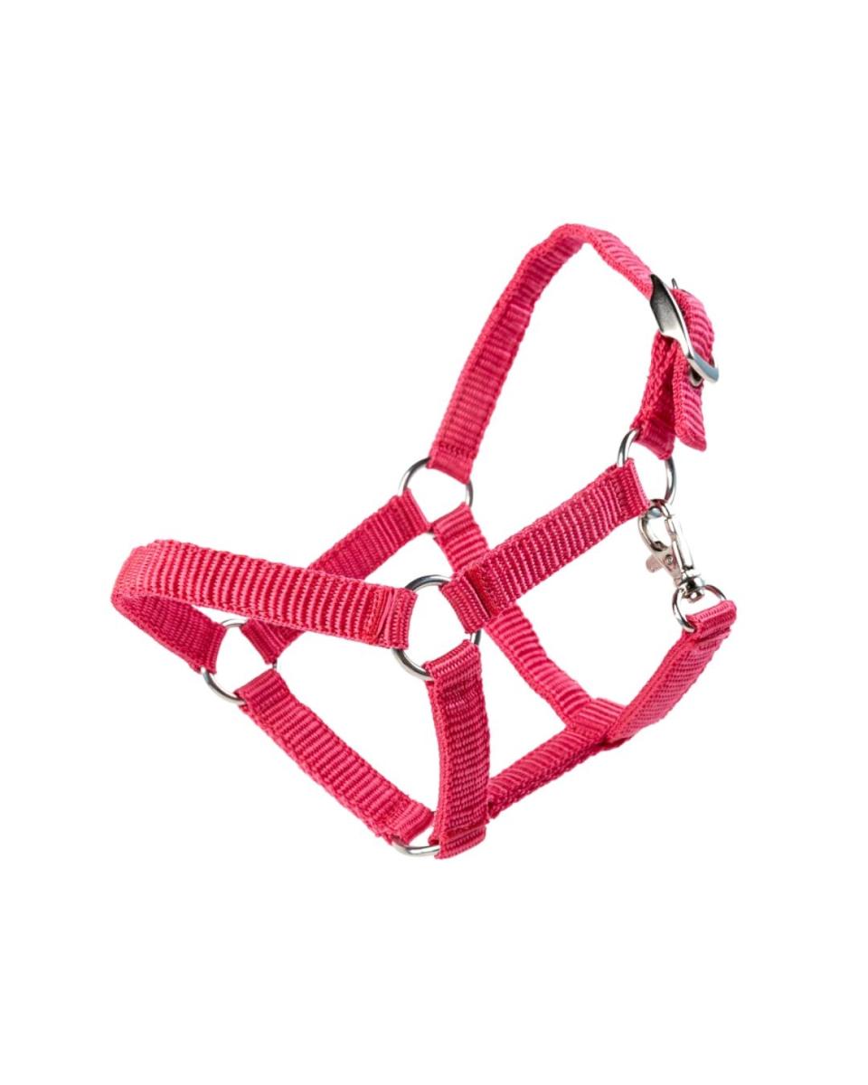 My Hobby Horse Grimma