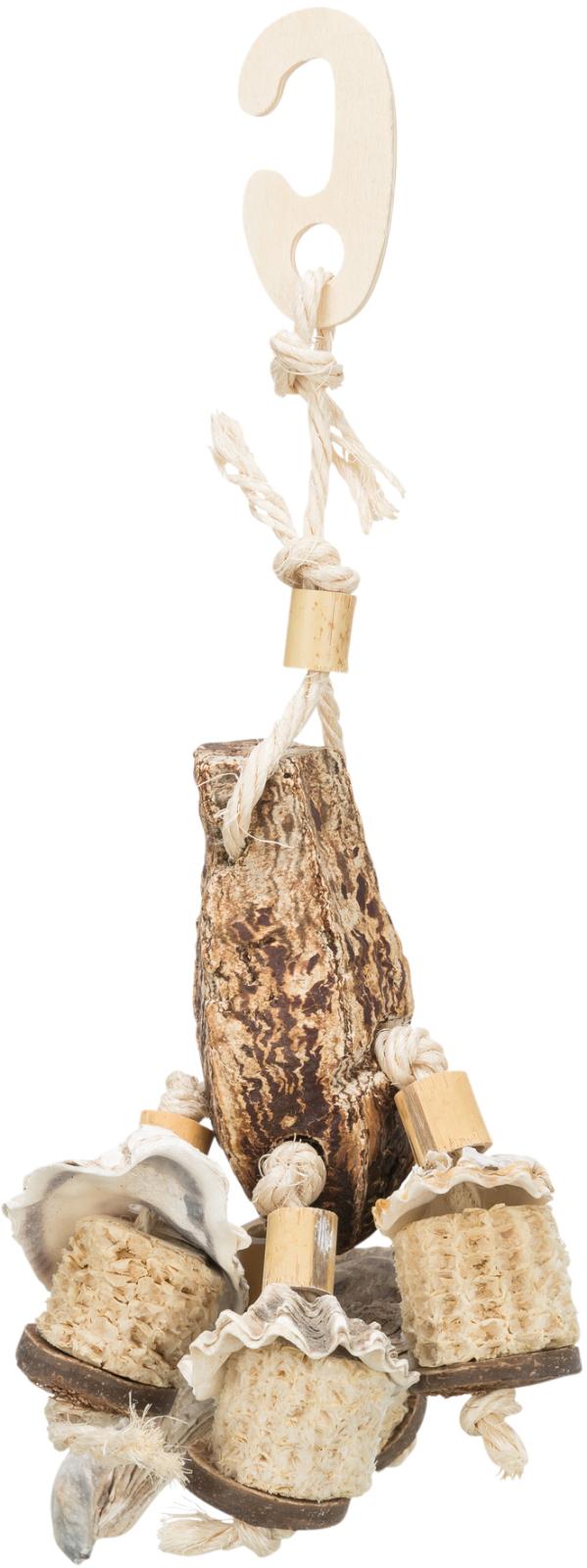 Natural toy, mahogany pod/sea shells