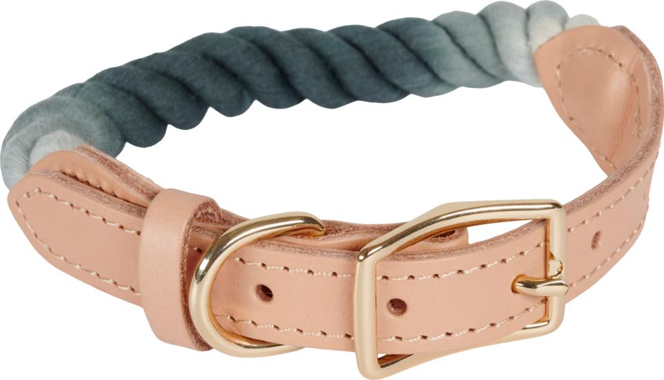 Companion Combi-Tau Hundehalsband