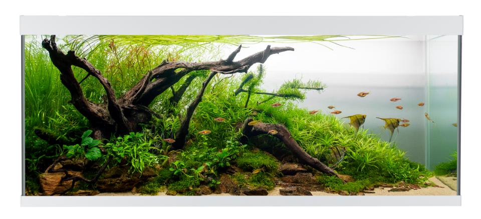 AkvaStabil ELEMENT Aquarium