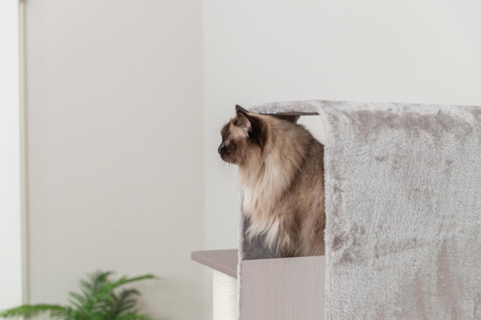 Trixie Cat Tree Marina