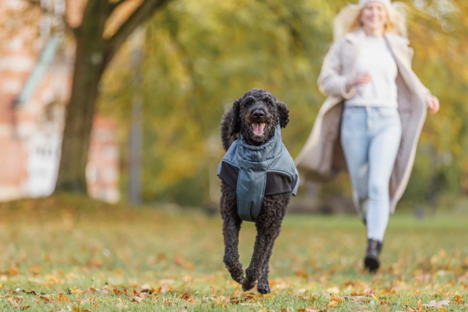 Trixie Riom Wintermantel für Hunde
