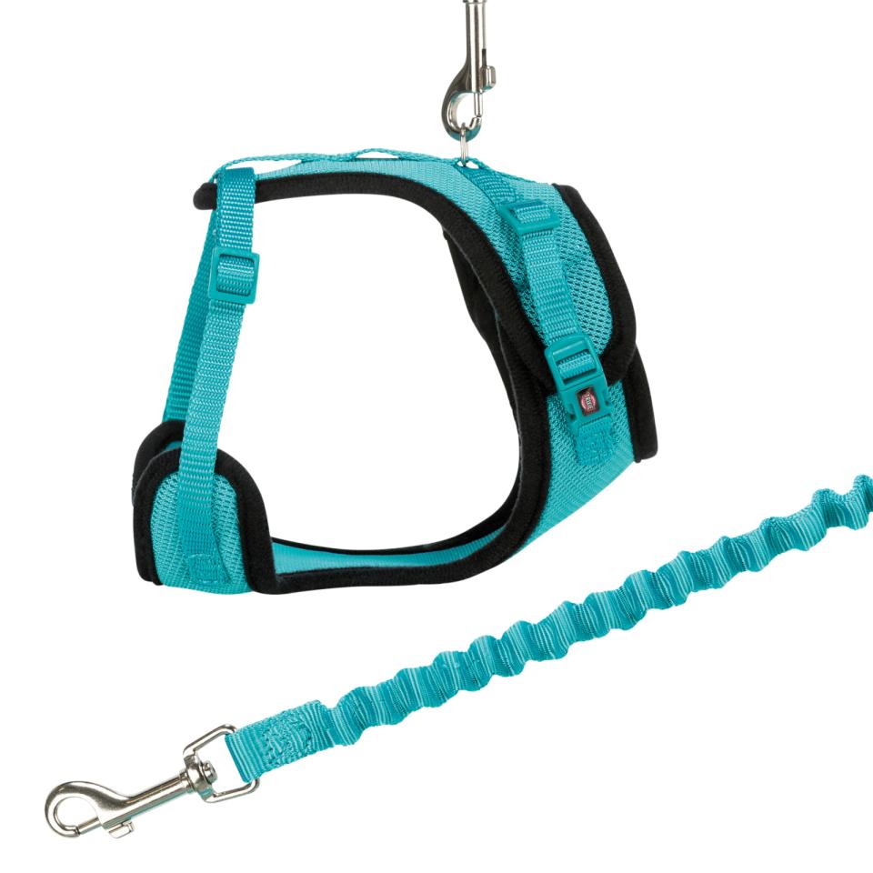 Mesh Y-Harness with Leash