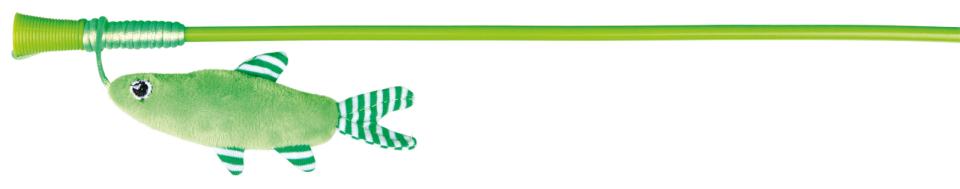 Spielangel mit Fisch