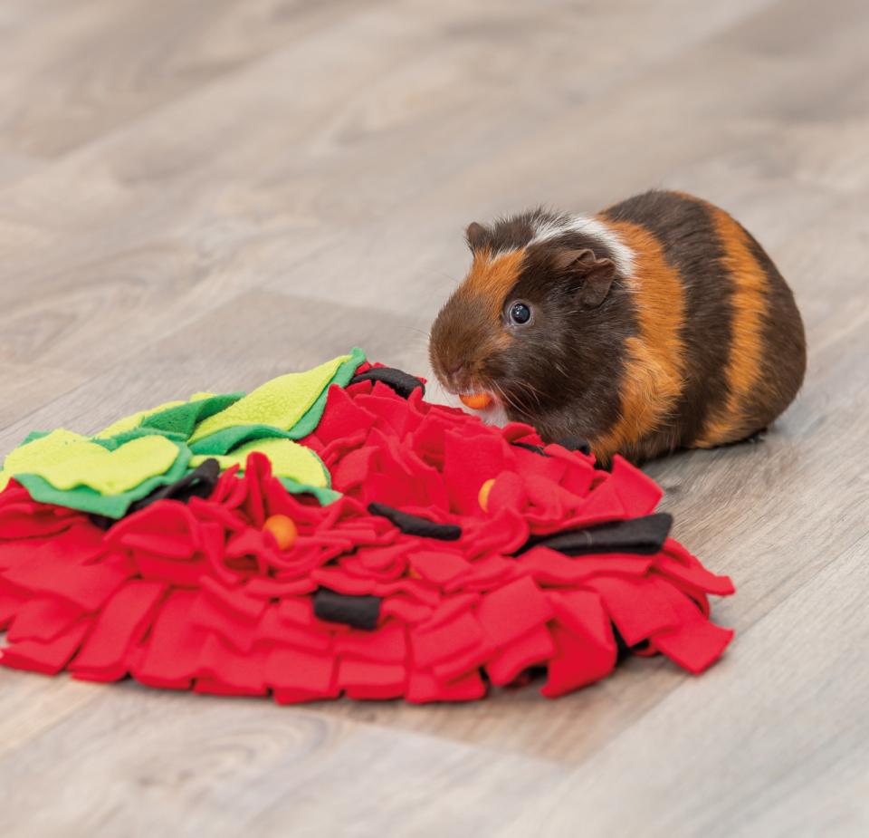 Trixie strawberry sniffing carpet for rodents