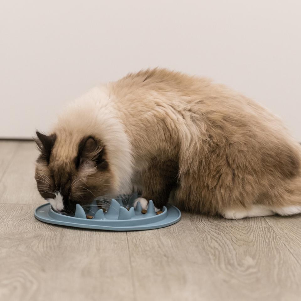 Slow Feeding Food Mat