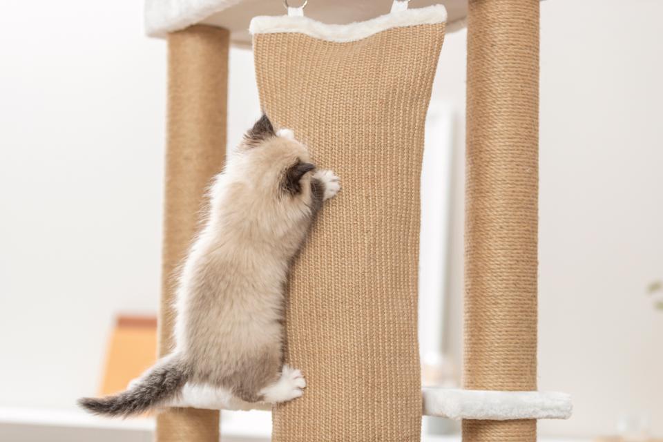 Trixie Cat Tree Active