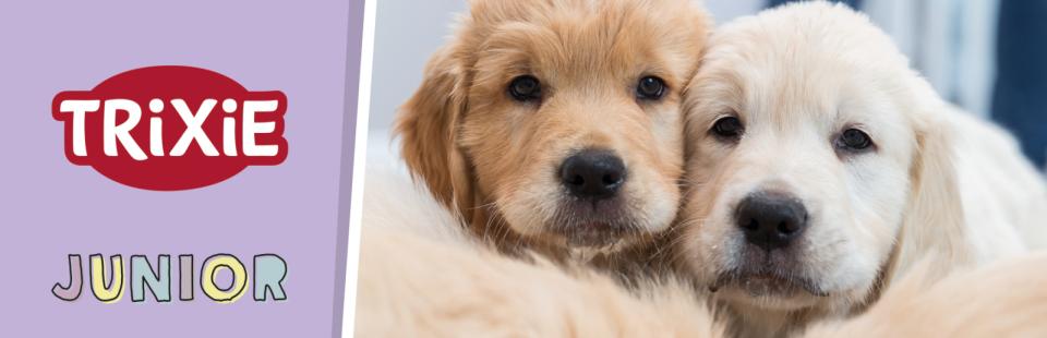 Magnet skilt t. Tego reol hvalp