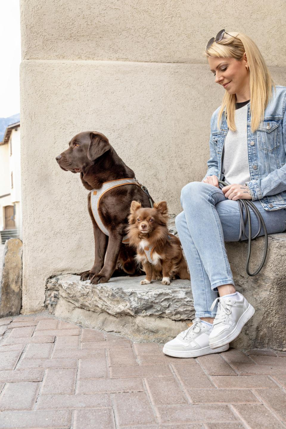 Curli Alpine Belka hundesele