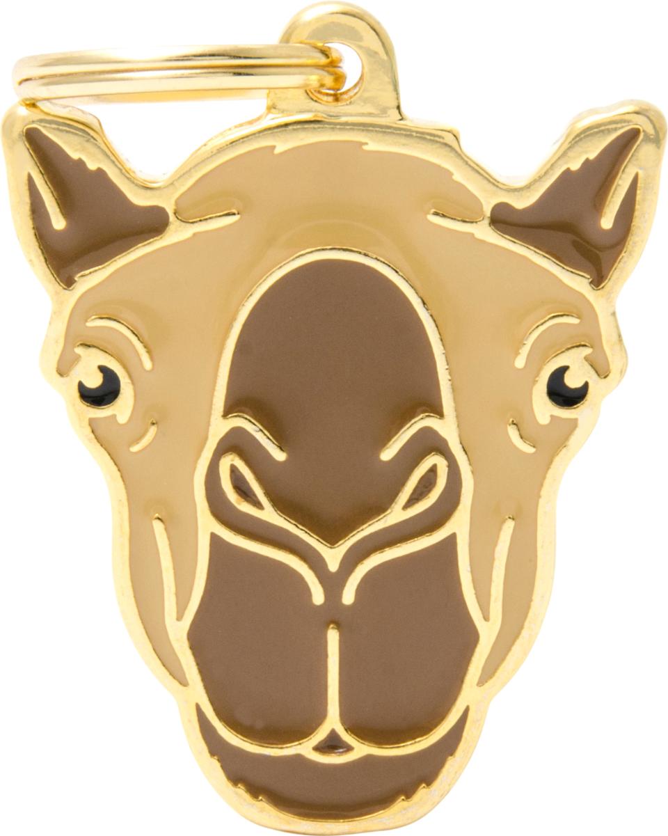 MyFamily Wild, kamel