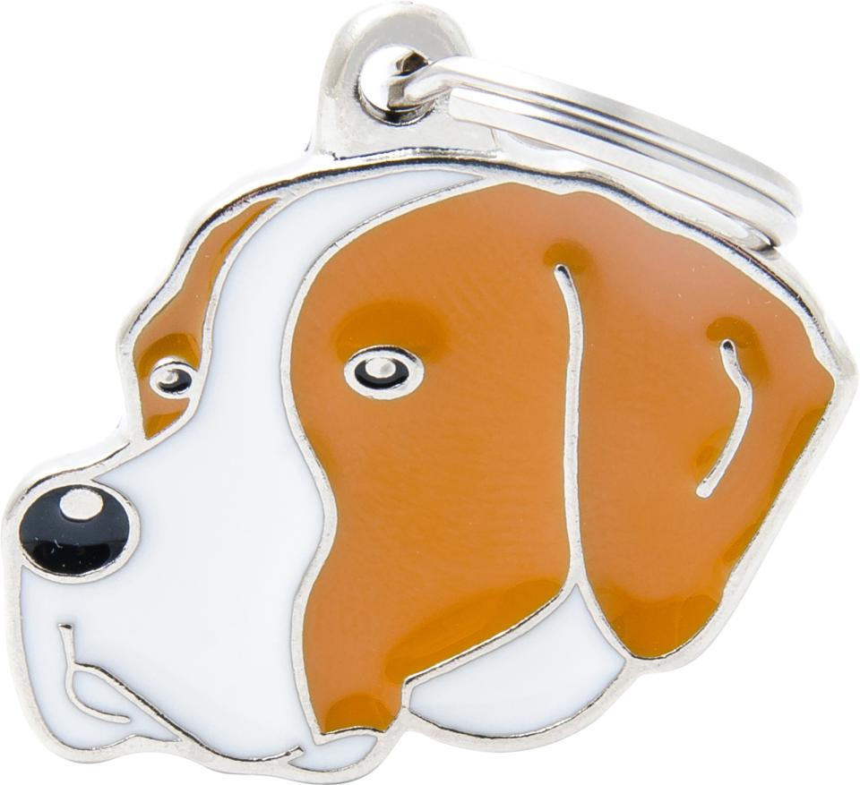 MyFamily Friends, Engelsk Pointer