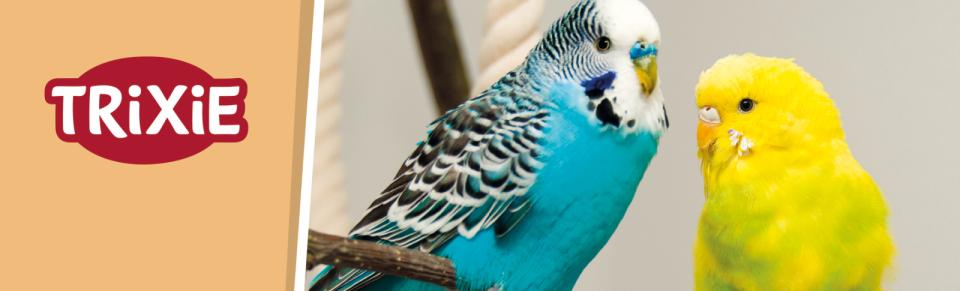 Magnet skilt t. Tego reol fugl