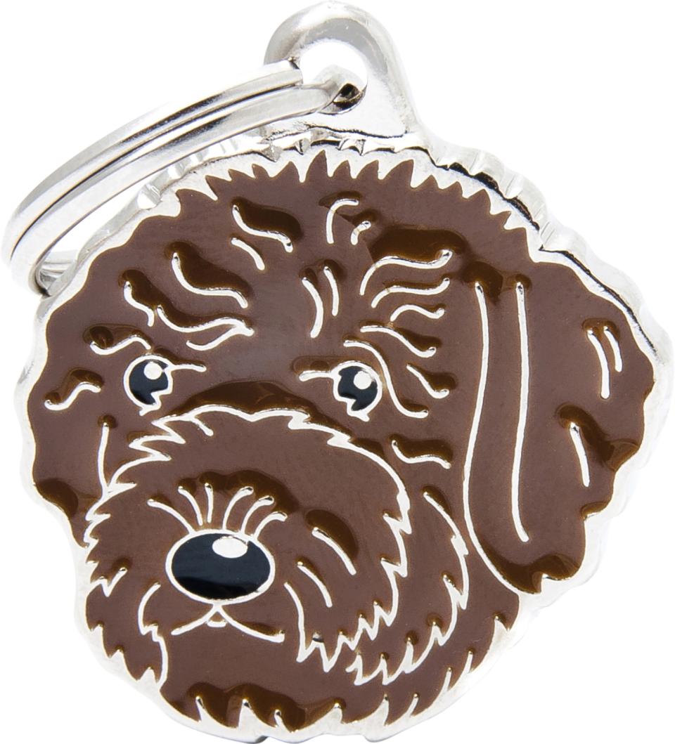 MyFamily Friends, Lagotto