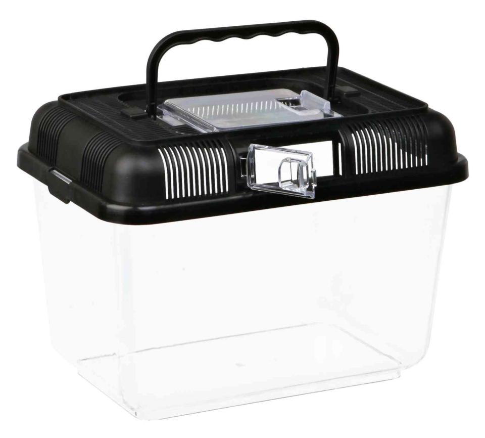 Transport and Feeding Box