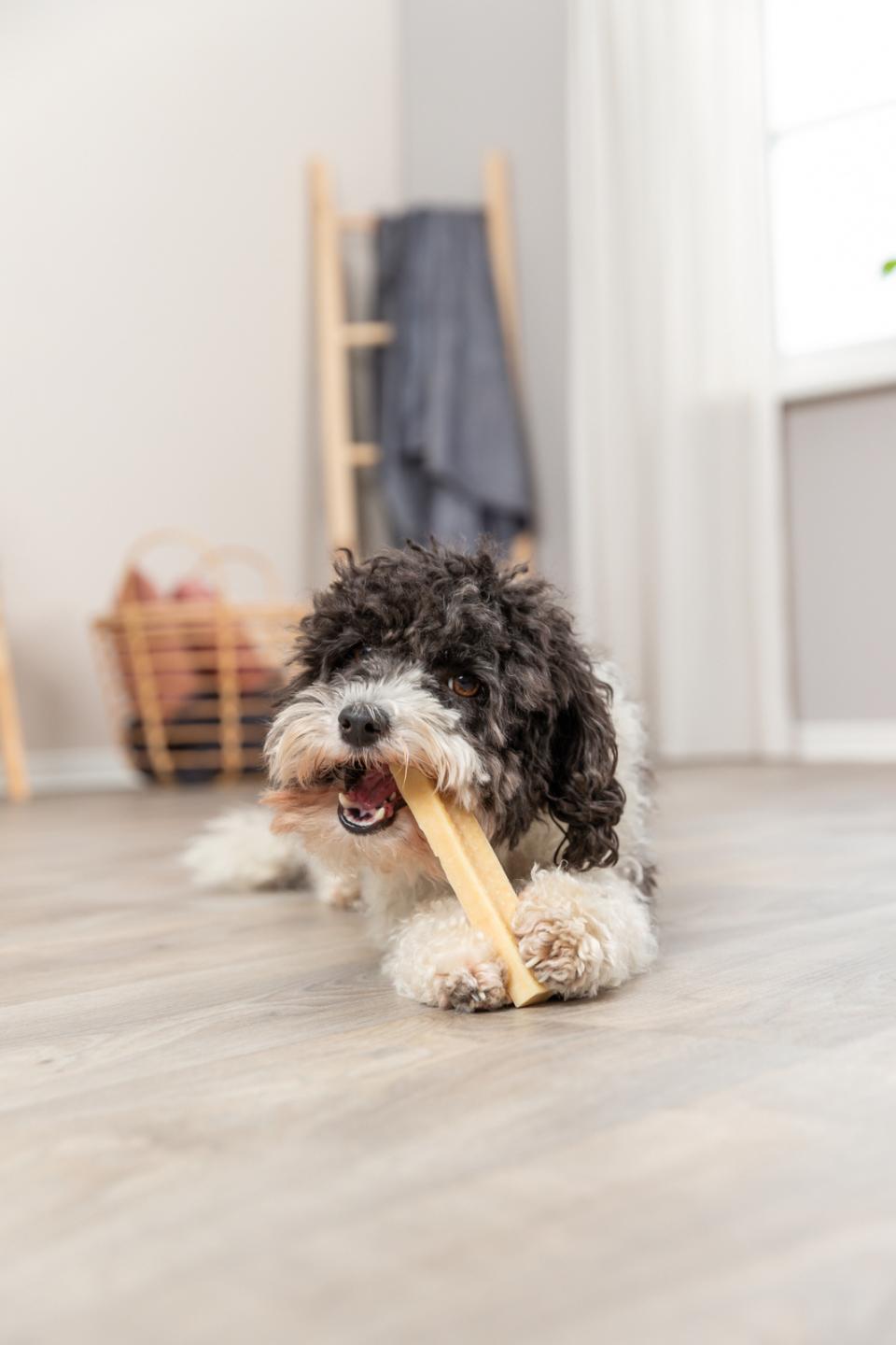 Trixie Kaustangen, Käse