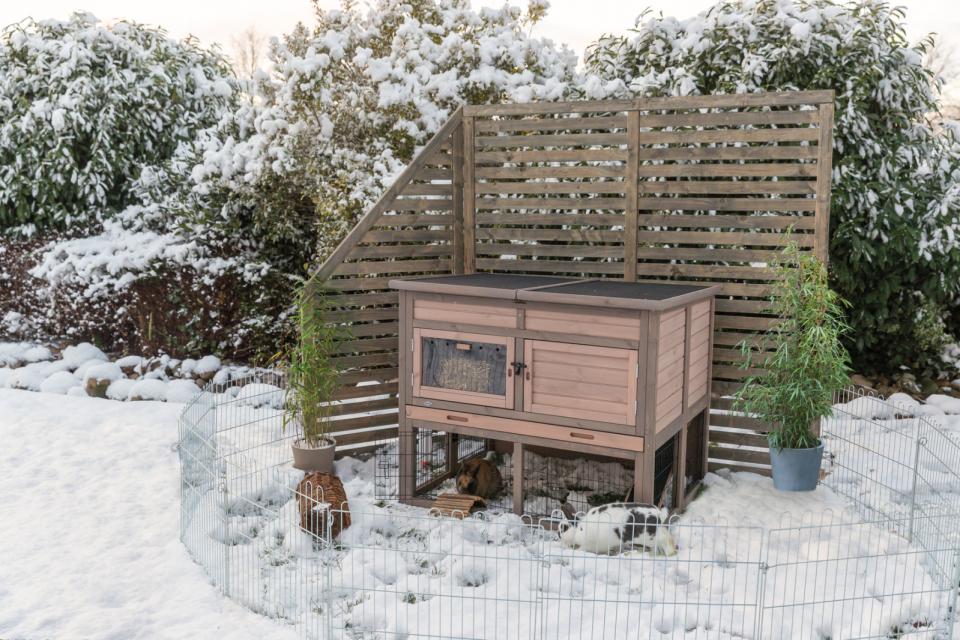 Small Animal Hutch XL with Insulation