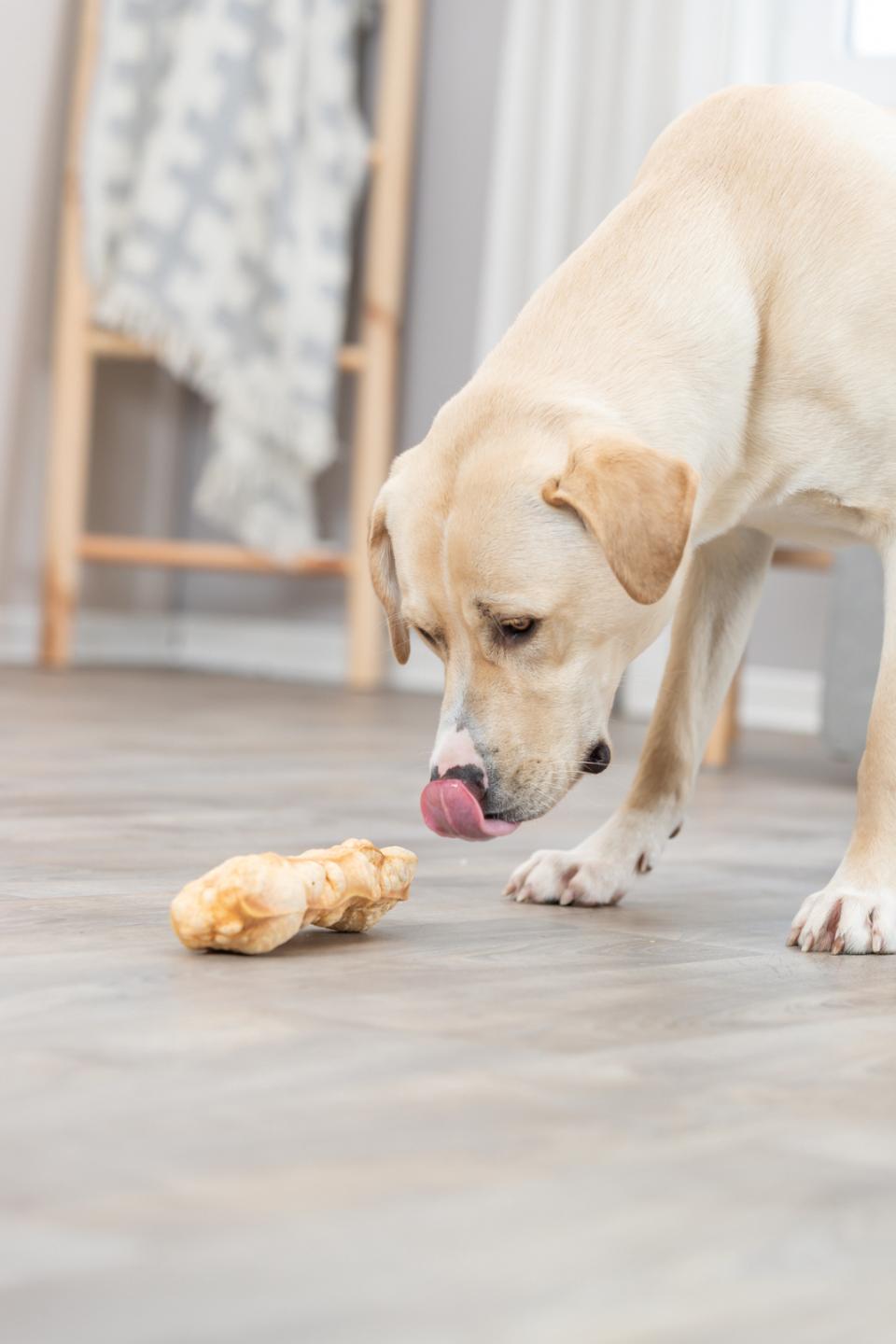 Trixie Kaustangen, Käse
