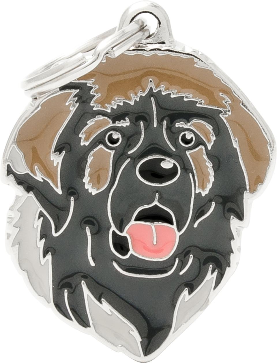 MyFamily Friends, Leonberger