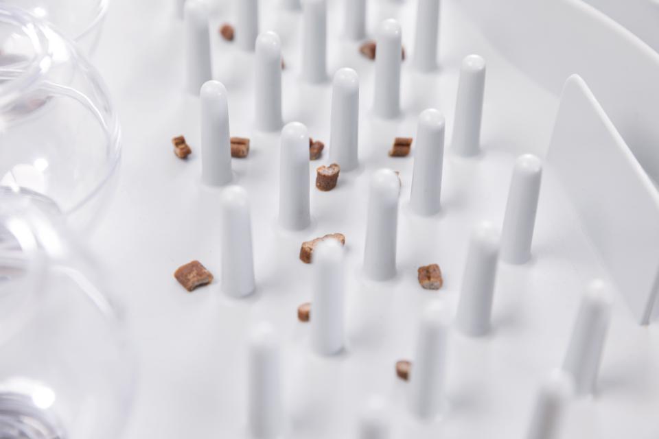 Fun Board Strategiespiel