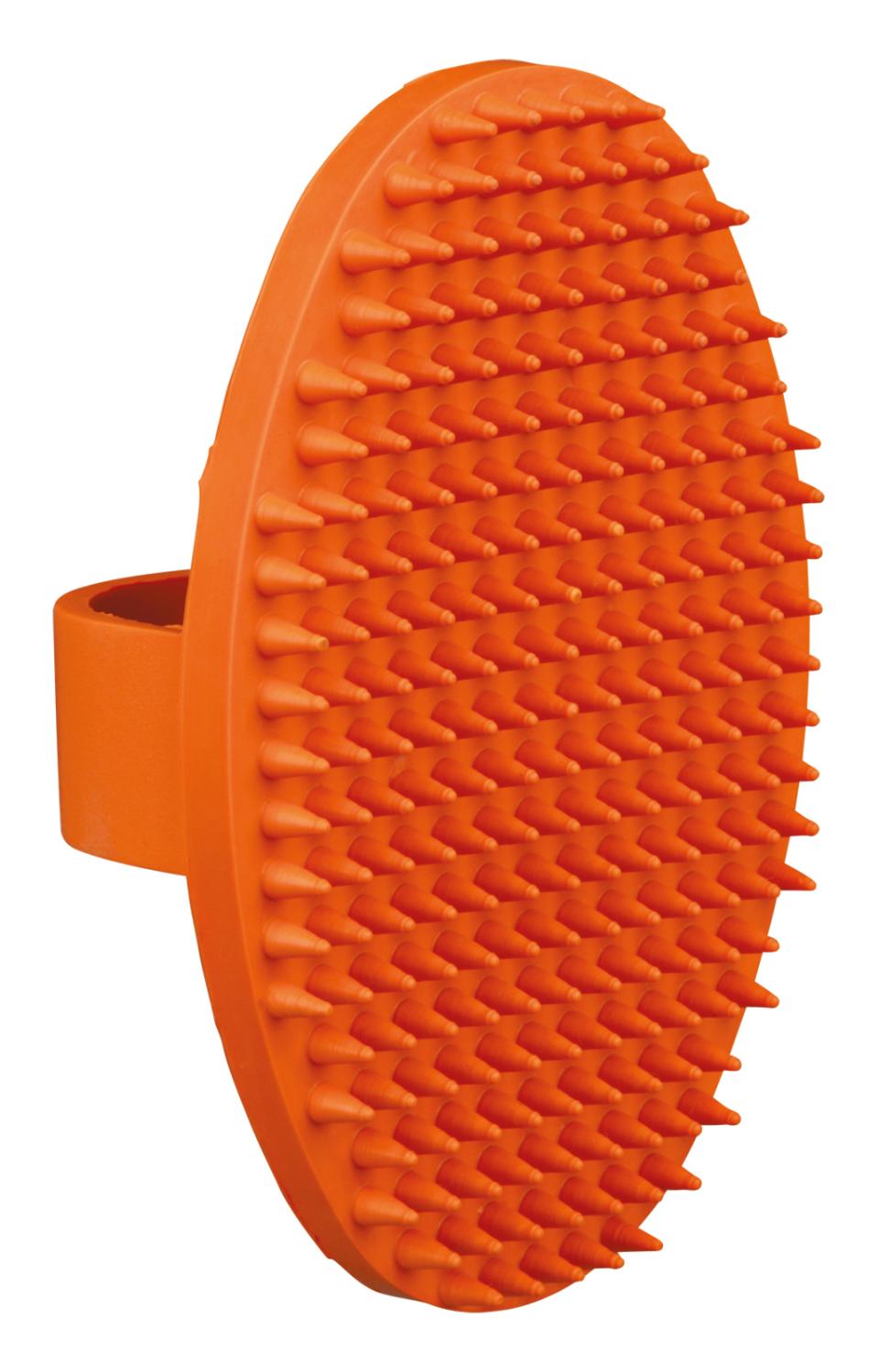 Massage brush