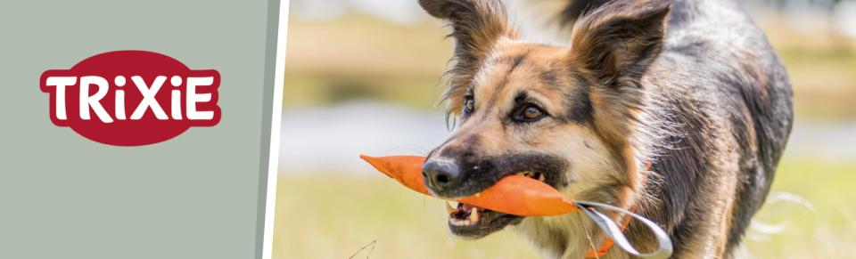 Magnet skilt t. Tego reol hundetræning