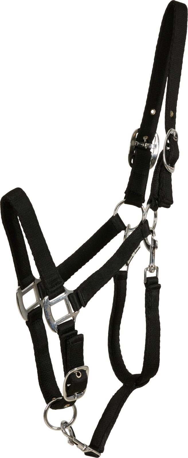 HorseGuard Saby grooming grimma