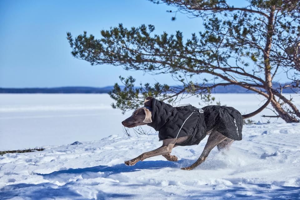 Hurtta Extreme Warmer III ECO dog coat