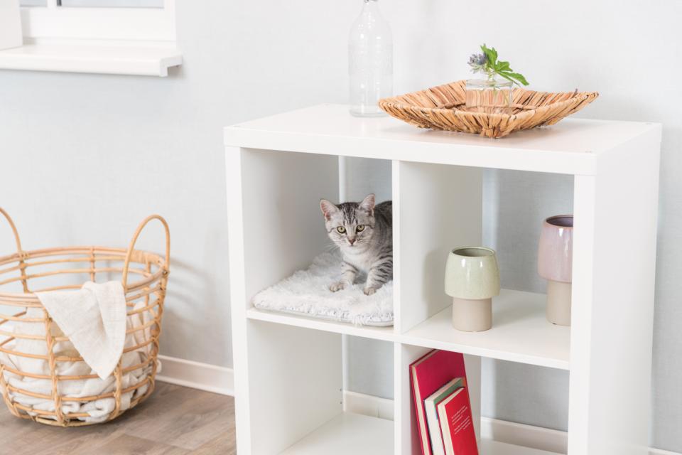 Harvey Lying Mat for Shelves