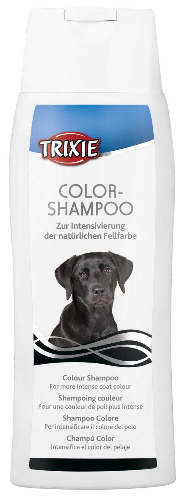 Color-Shampoo