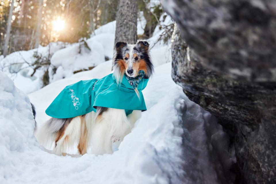 Hurtta Monsoon II ECO hundjacka