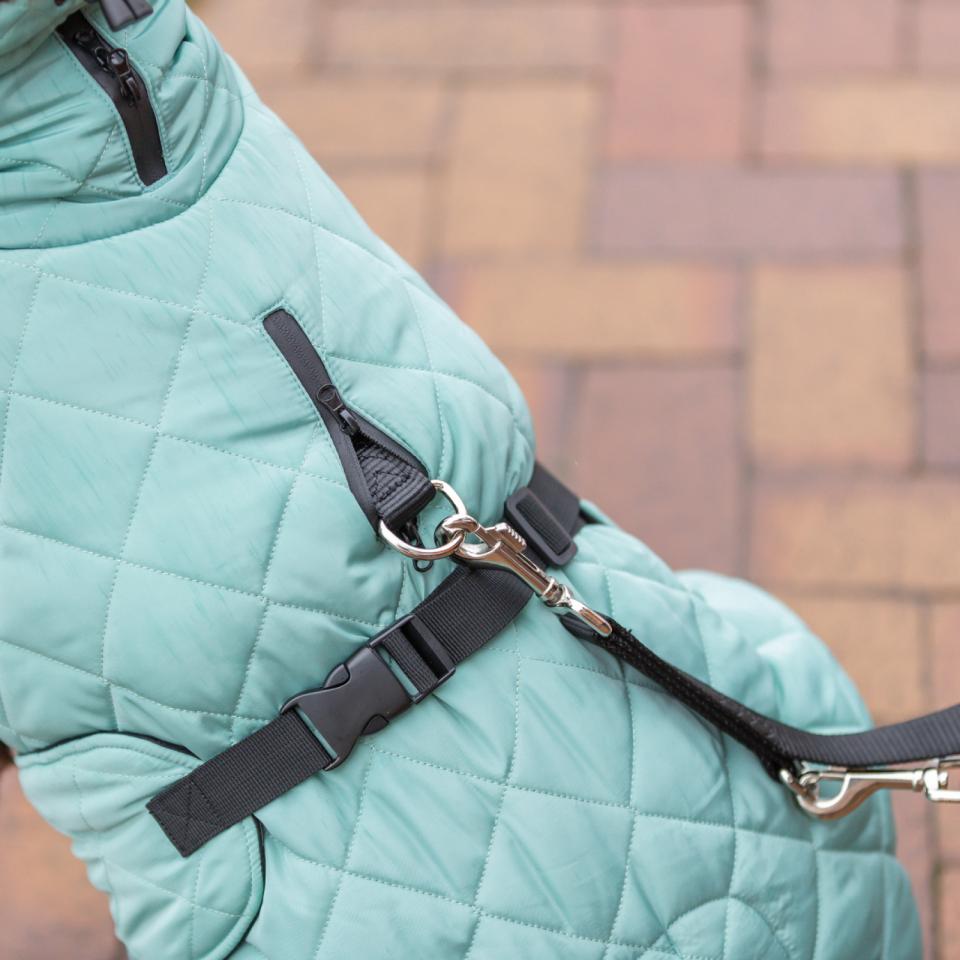 CityStyle Oslo jacka för hundar