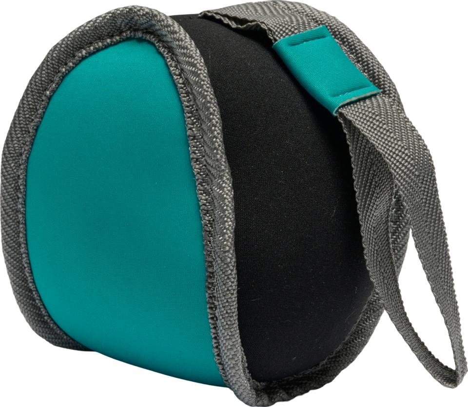 Companion floating whale